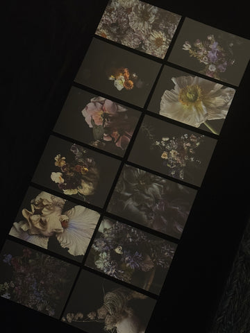 STUDIES IN BLOOM POSTCARDS
